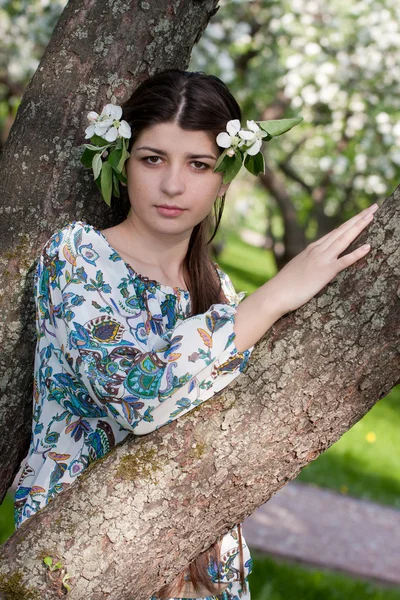 Den långhåriga flickan mot blommande äppelträd. — Stockfoto