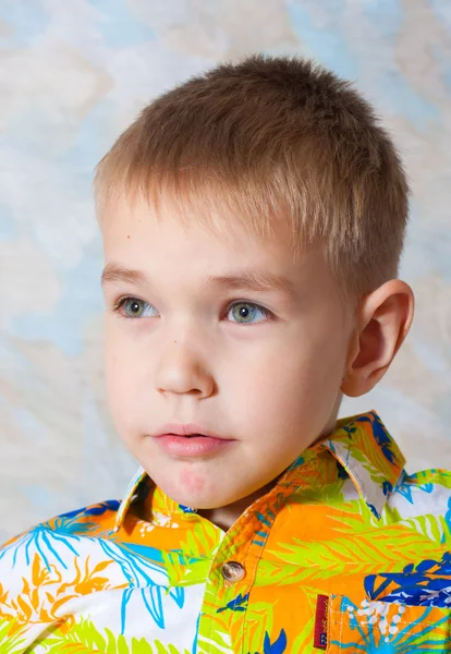 Retrato de un niño rubio —  Fotos de Stock