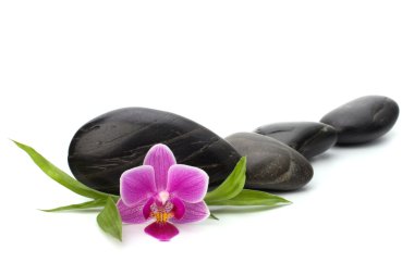 Zen pebbles path. Spa and healthcare concept. clipart