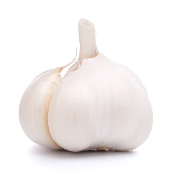 stock image Garlic bulb