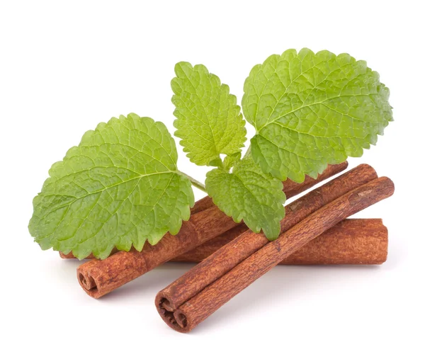 stock image Cinnamon sticks and fresh mint leaf