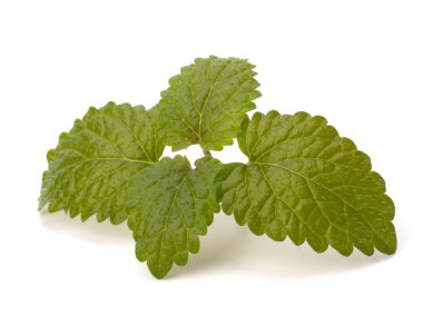 Bergamot nane