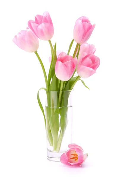 花瓶中的粉红郁金香花，白色背景隔离 — 图库照片