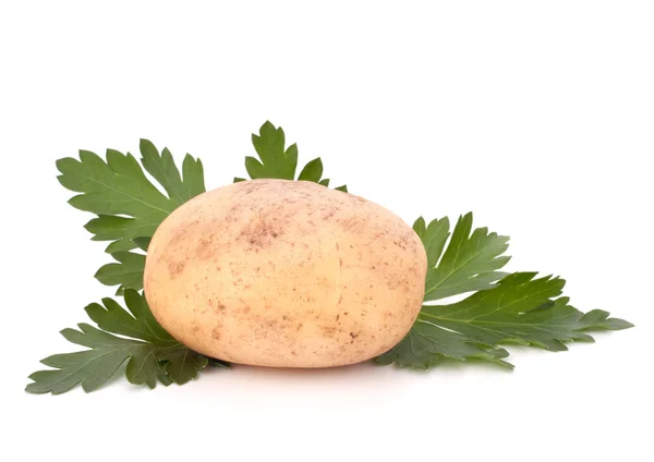 马铃薯和欧芹叶 — 图库照片