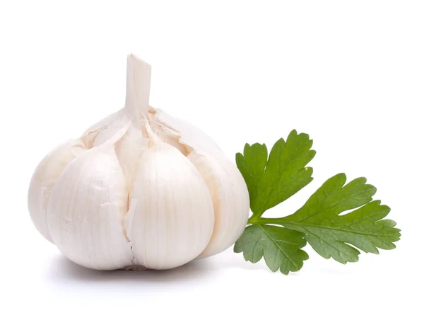 stock image Garlic bulb