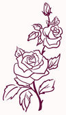 Három stilizált halványsárga Rózsa elszigetelt világos háttér, vektor