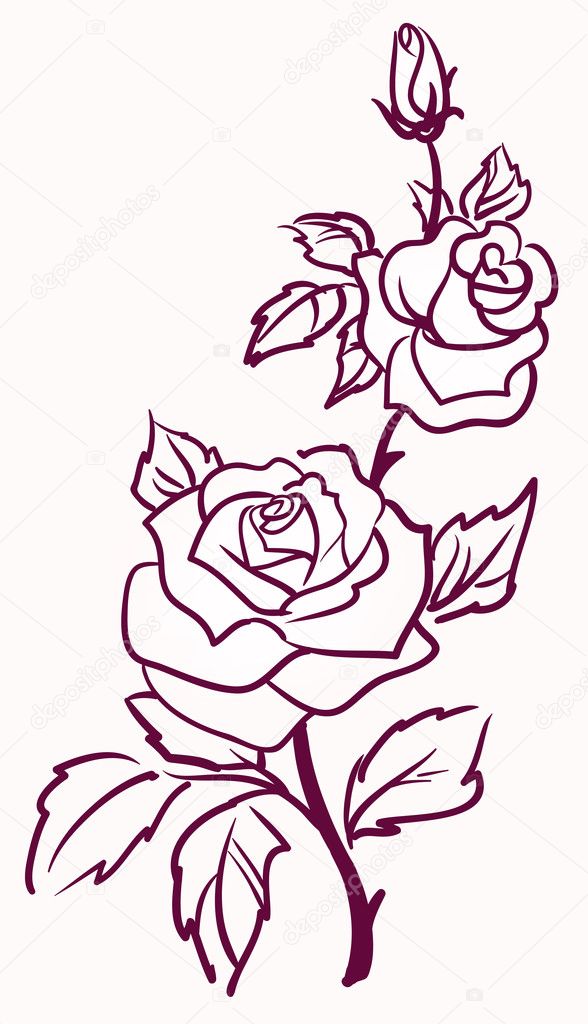 Three stylized pale roses isolated on light background, vector