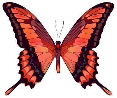 Beautiful vector isolated red butterfly clipart