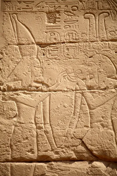 Egyptiska hieroglyfer — Stockfoto