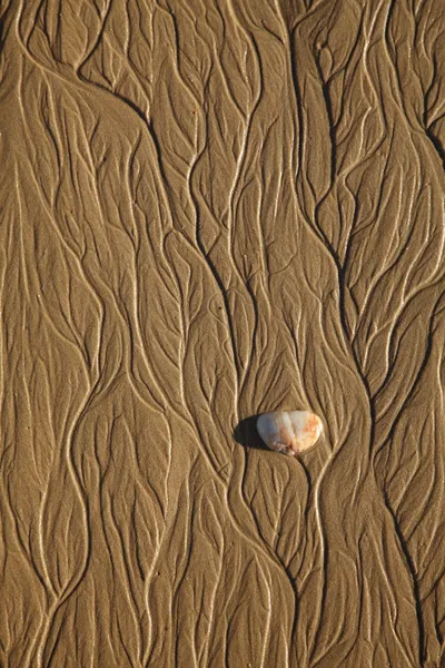 Textur am Sandstrand Stockbild