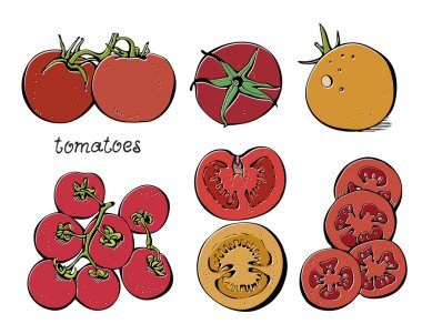 Tomatoes set clipart