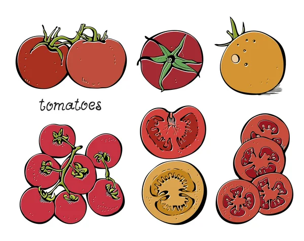 Conjunto de tomates — Vector de stock