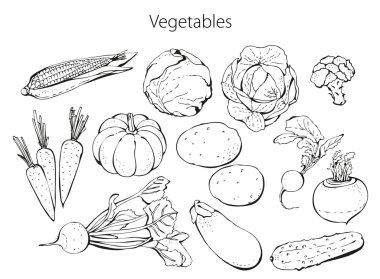 Vegetables set clipart