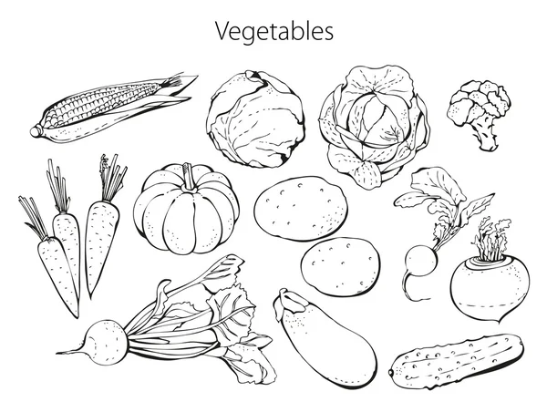 Овочі набір — стоковий вектор