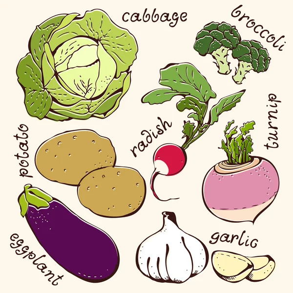 Verduras sobre fondo beige — Vector de stock