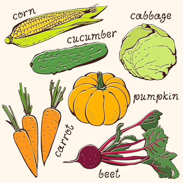 Zeleninové vegetariánské sada — Stockový vektor