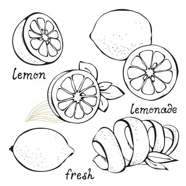 Lemon citrus vector set clipart