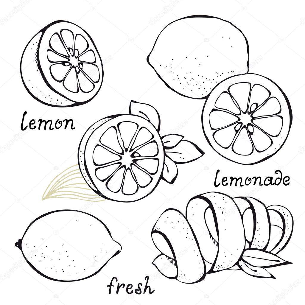 Lemon citrus vector set