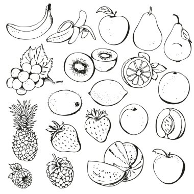 Fruit and berry collection clipart