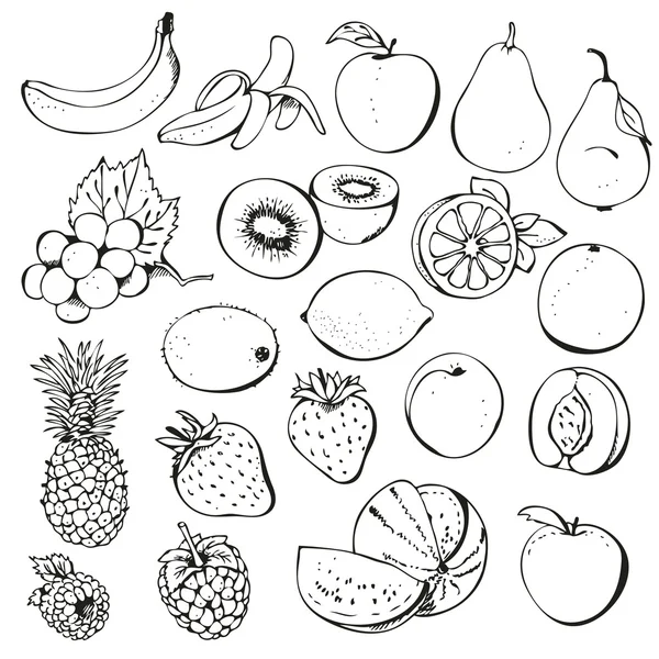 Коллекция фруктов и ягод — стоковый вектор