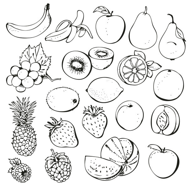 Fruit and berry collection