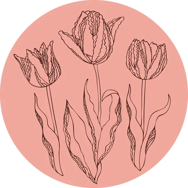 Illustration vectorielle des tulipes — Image vectorielle