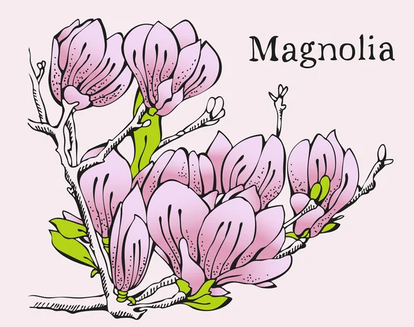 Magnolia pink design card — Stock Vector