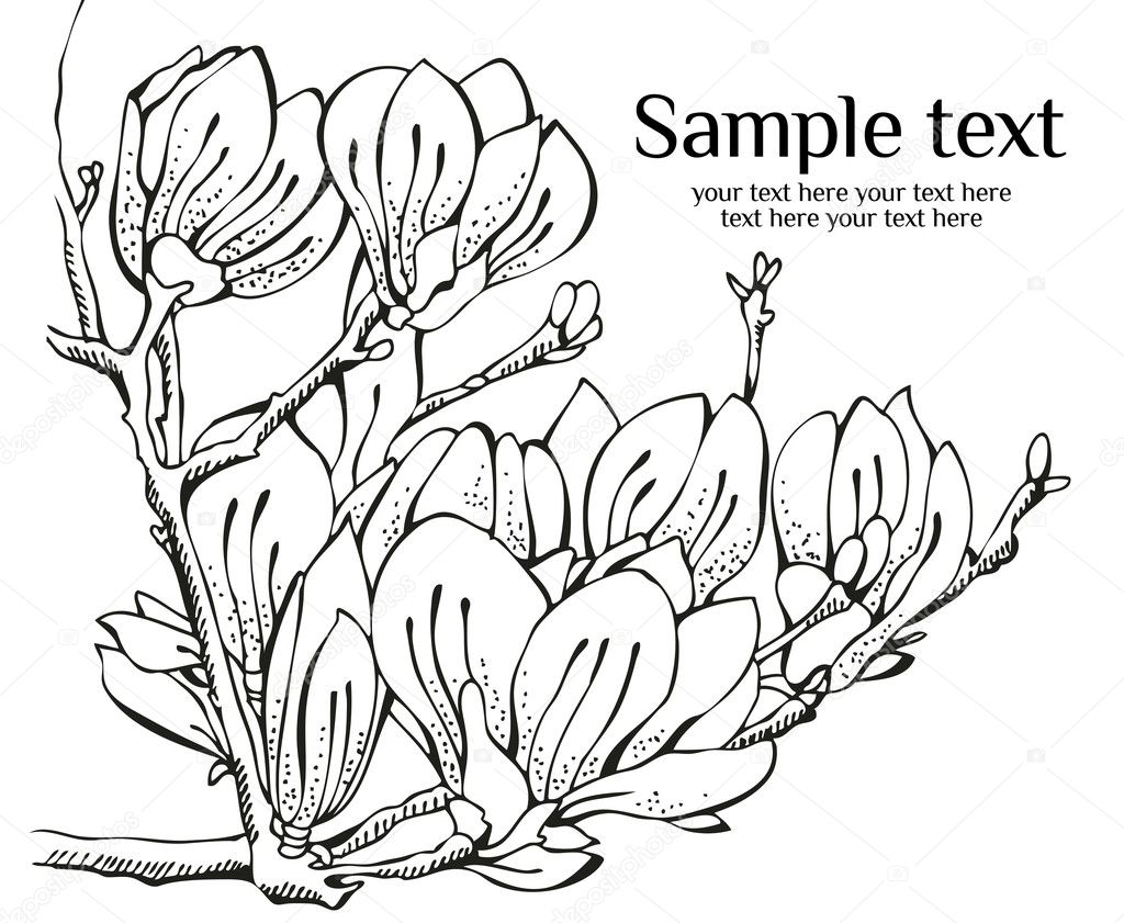 Card design with magnolia