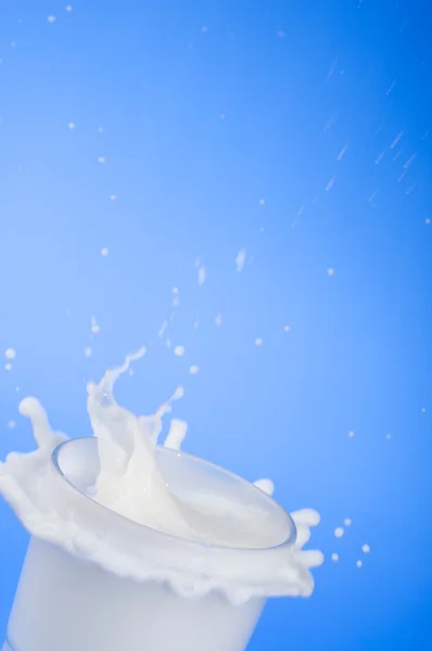 Spruzzi di latte primo piano — Foto Stock