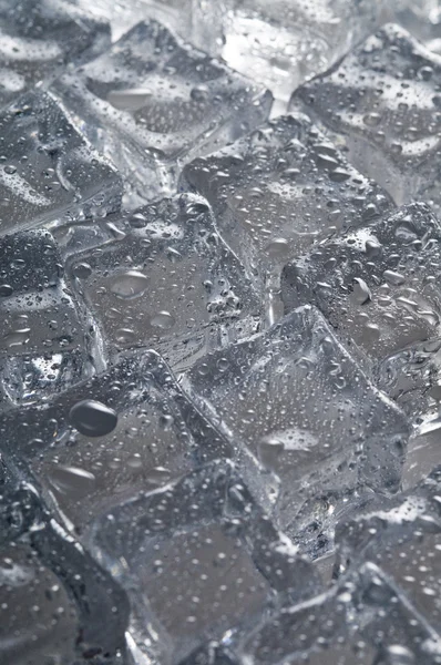 젖은 얼음 큐브 개체 — 스톡 사진