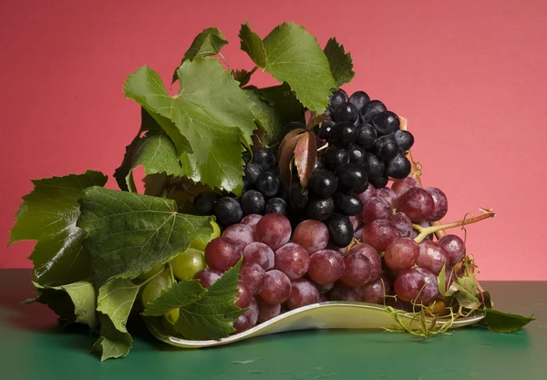 Multicolor grape food — Stock Photo, Image