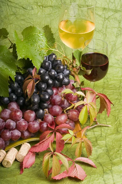Gros plan sur le vin rouge et le raisin — Photo