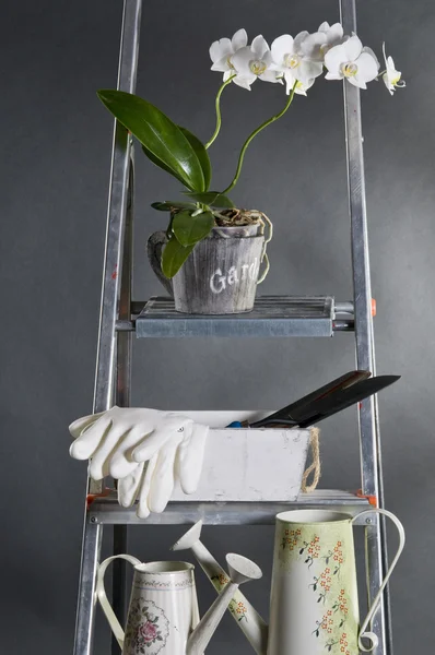 Gardening tools and flowers in pots. — Stock Photo, Image