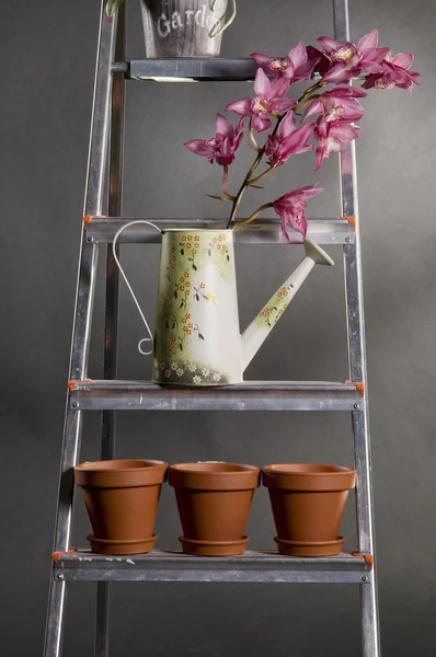 Orquídeas em regar lata em uma escada rolante de metal — Fotografia de Stock