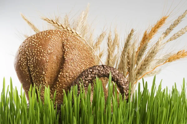 Mand met graan brood en granen achter groen gras. — Stockfoto