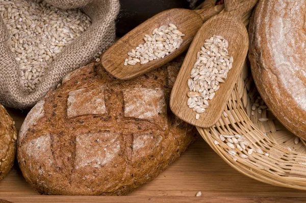Ekmek taze yiyecek — Stok fotoğraf