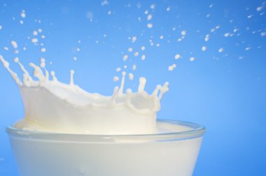 Milk splash close-up clipart