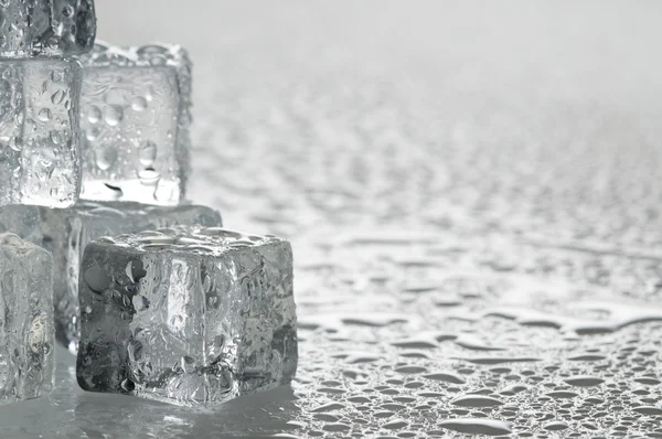 Våt is kuber objekt — Stockfoto