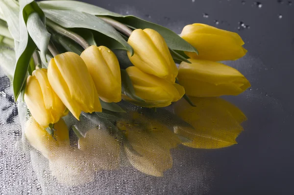 Весняно-жовтий тюльпан розквітає на мокрому сірому фоні — стокове фото