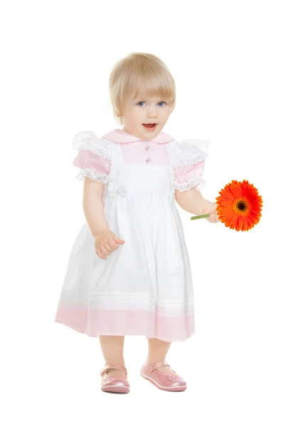 Carino bambino con gerbera fiore isolato su bianco — Foto Stock
