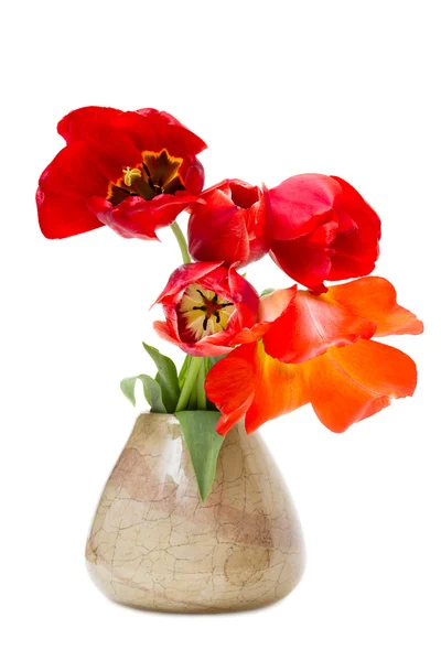 Bukiet tulipany w wazonie na białym tle — Zdjęcie stockowe