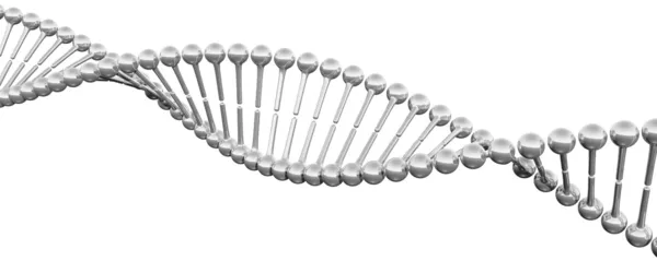 Struktur DNA — Stok Foto