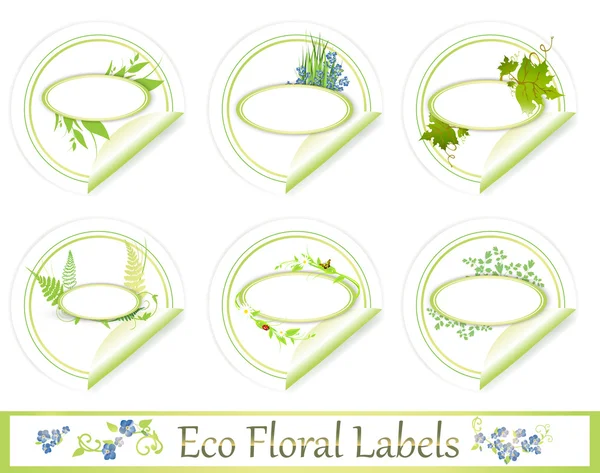 Eco conjunto de etiquetas florales — Vector de stock