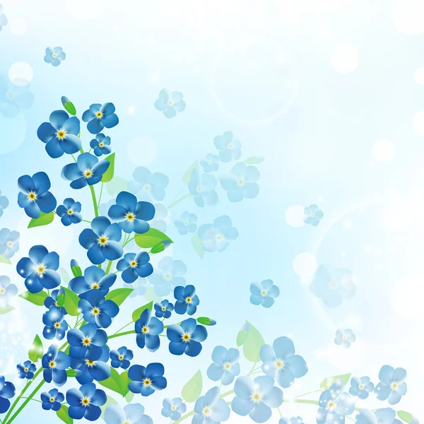 Forget-me-not flower background — Stock Vector