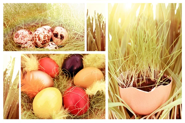 Ostern — Stockfoto