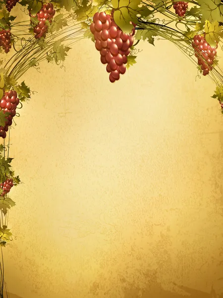 Красный виноград на фоне гранжа — стоковый вектор