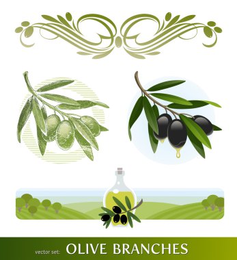 Vector set - olive branches clipart