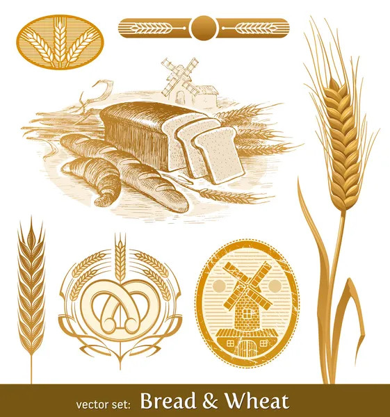 Vektör set - ekmek ve buğday — Stok Vektör