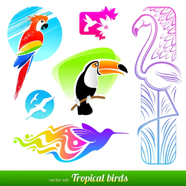 Conjunto vetorial de pássaros tropicais decorativos estilizados — Vetor de Stock