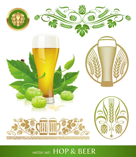 Set vettoriale - birra, luppolo e birra — Vettoriale Stock